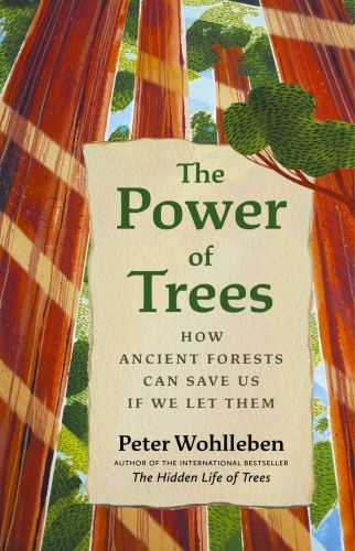 The power of tree