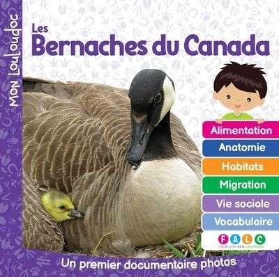 Bernaches du canada, (les)