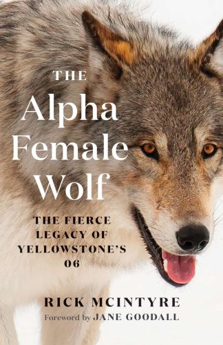 The alpha female wolf, book 6, the fierce legacy of yellowstone's