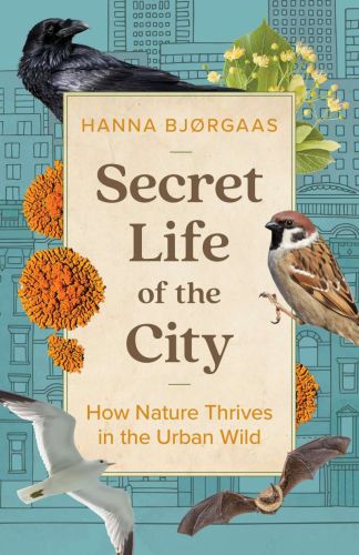 Secret life of the city