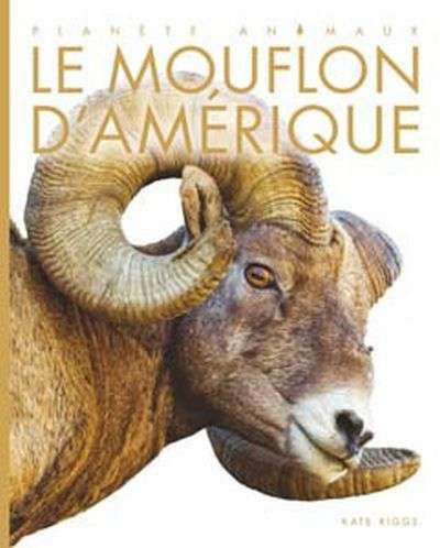 Mouflon d'amérique, (le)