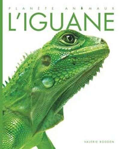 Iguane, (l')
