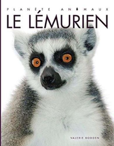 Lémurien, (le)