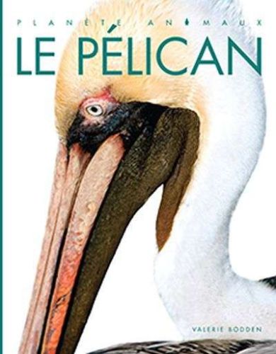 Pélican, (le)