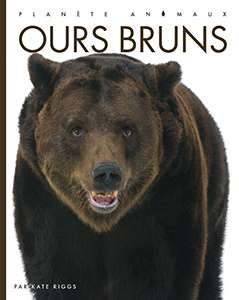Ours bruns