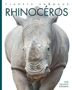 Rhinocéros