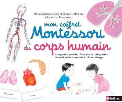 Mon coffret montessori du corps humain
