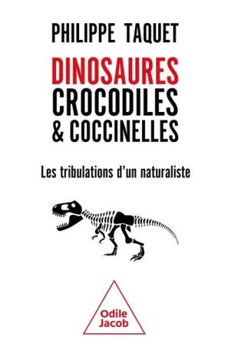 Dinosaures, crocodiles & coccinelles