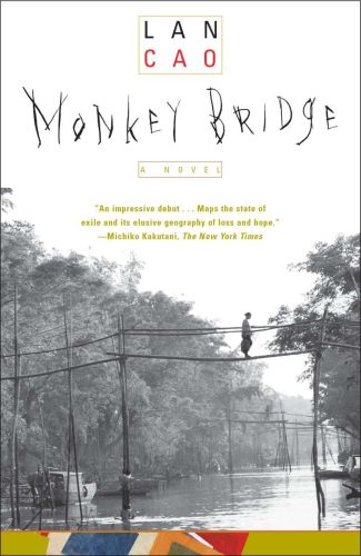 Monkey bridge