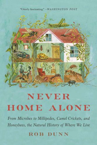 Never home alone