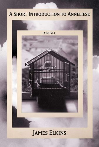A short introduction to anneliese