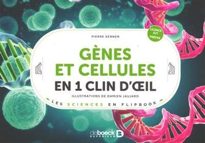 Gènes et cellules en 1 clin d'oeil