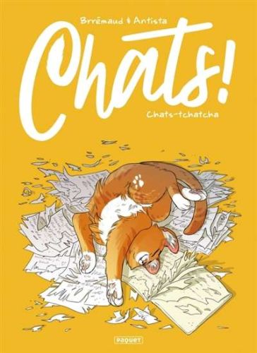 Chats-tchatcha