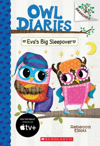 Eva's big sleepover: a branches book (owl diaries #9)
