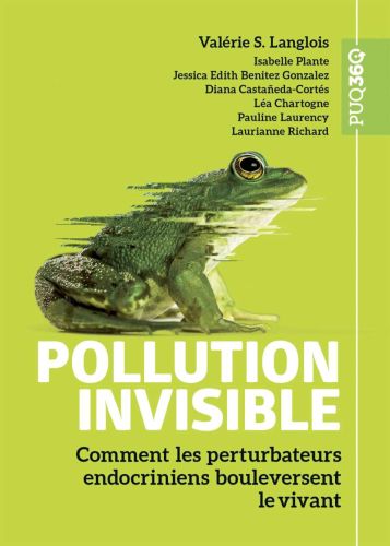 Pollution invisible