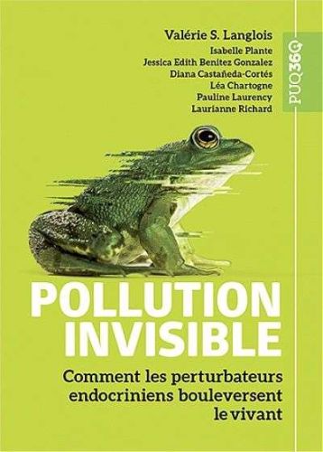 Pollution invisible