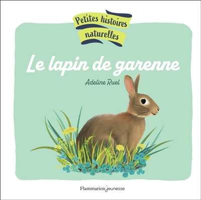 Lapin de garenne, (le)