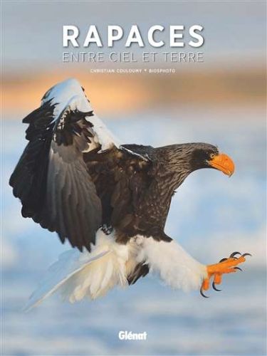 Rapaces