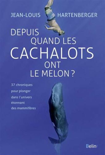 Depuis quand les cachalots ont le melon ?
