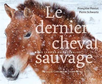 Dernier cheval sauvage, (le)