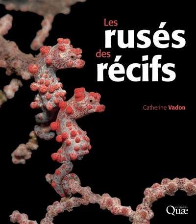 Rusés des récifs, (les)