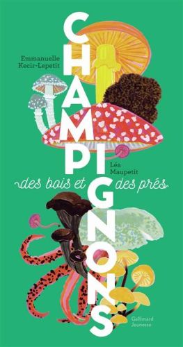 Champignons des bois et des prés