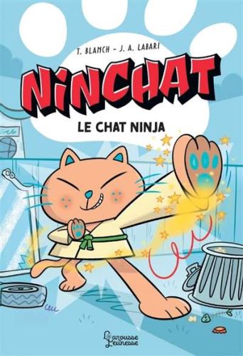 Chat ninja, (le)