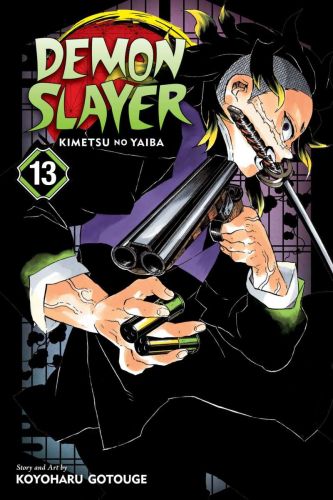Demon slayer: kimetsu no yaiba, book 13