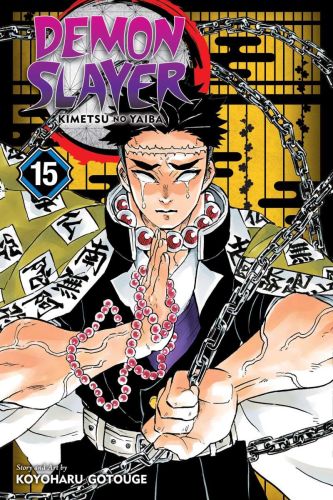 Demon slayer: kimetsu no yaiba, book 15