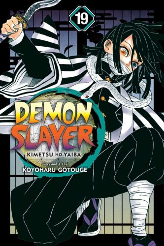 Demon slayer: kimetsu no yaiba, book 19