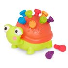 Tortue d'activités