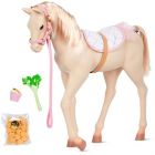Poulain palomino birthday foal