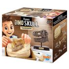 Buki museum skulls - t-rex