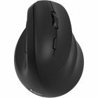 Souris vertical droitière bt + 2.4g sans fil