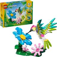 31384 animaux sauvages : le colibri coloré