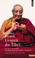 Esprit du tibet, (l')
