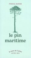 Pin maritime, (le)