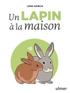 Lapin dans la maison, (le)