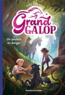 Un poulain en danger