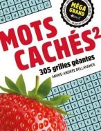 Méga grand - mots cachés 2