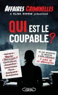 Qui est le coupable ?