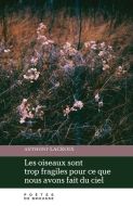 Oiseaux sont trop fragiles pour ce que nous avons fait du ciel, (les)