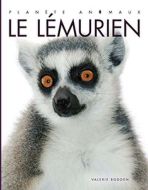 Lémurien, (le)