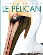 Pélican, (le)