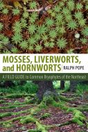 Mosses, liverworts, and hornworts