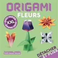 Origami fleurs