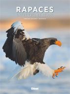 Rapaces