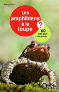 Amphibiens à la loupe ?, (les)