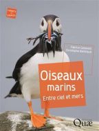 Oiseaux marins