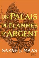 Un palais de flammes d'argent
